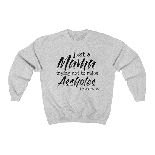 Just a Mama trying not to raise Assholes